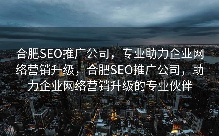 合肥SEO推广公司，专业助力企业网络营销升级，合肥SEO推广公司，助力企业网络营销升级的专业伙伴