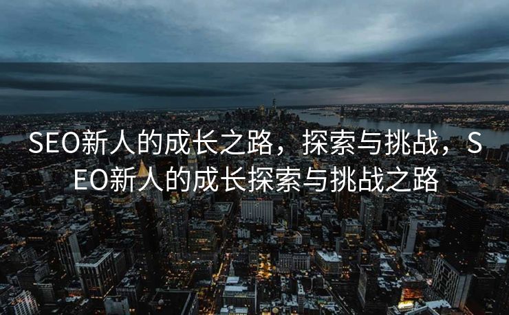 SEO新人的成长之路，探索与挑战，SEO新人的成长探索与挑战之路