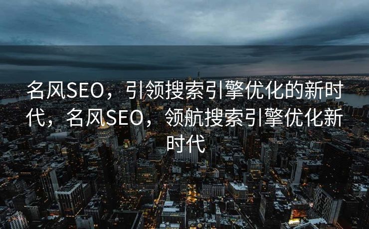 名风SEO，引领搜索引擎优化的新时代，名风SEO，领航搜索引擎优化新时代