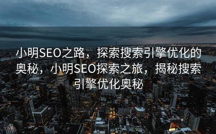 小明SEO之路，探索搜索引擎优化的奥秘，小明SEO探索之旅，揭秘搜索引擎优化奥秘