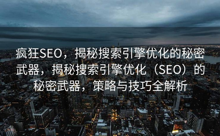 疯狂SEO，揭秘搜索引擎优化的秘密武器，揭秘搜索引擎优化（SEO）的秘密武器，策略与技巧全解析