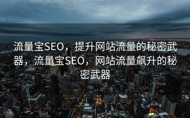 流量宝SEO，提升网站流量的秘密武器，流量宝SEO，网站流量飙升的秘密武器